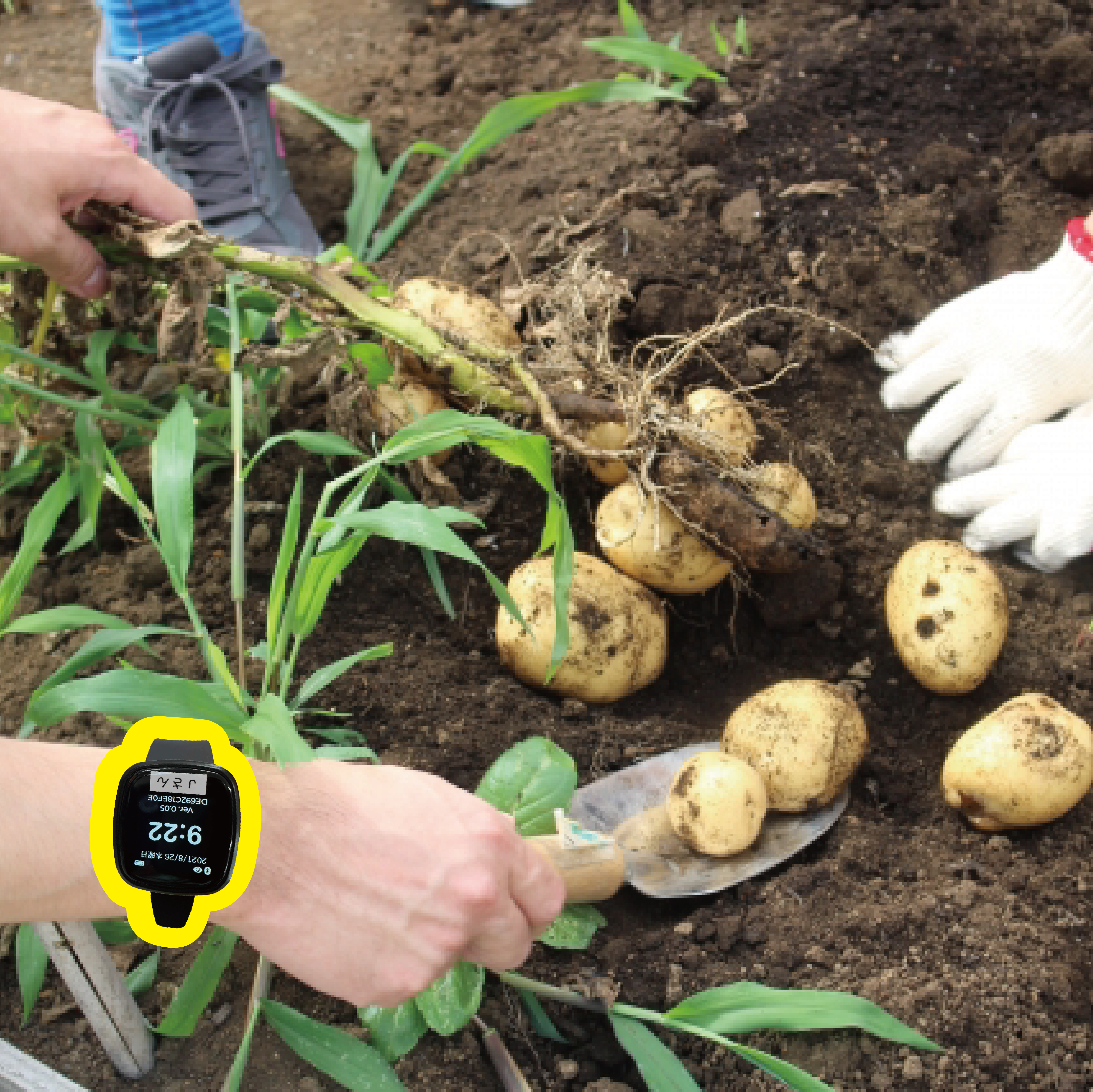 令和３年度 ノウフクラボ