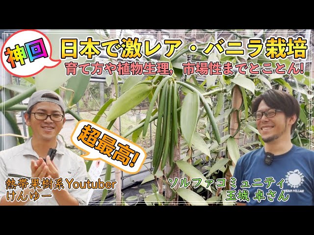 ソルファコミュニティ玉城代表がYouTubeでバニラ栽培のノウハウを紹介