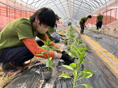 大崎町で新たな連携モデルによる竹の資源化に挑戦！（大隅半島ノウフクコンソーシアム）