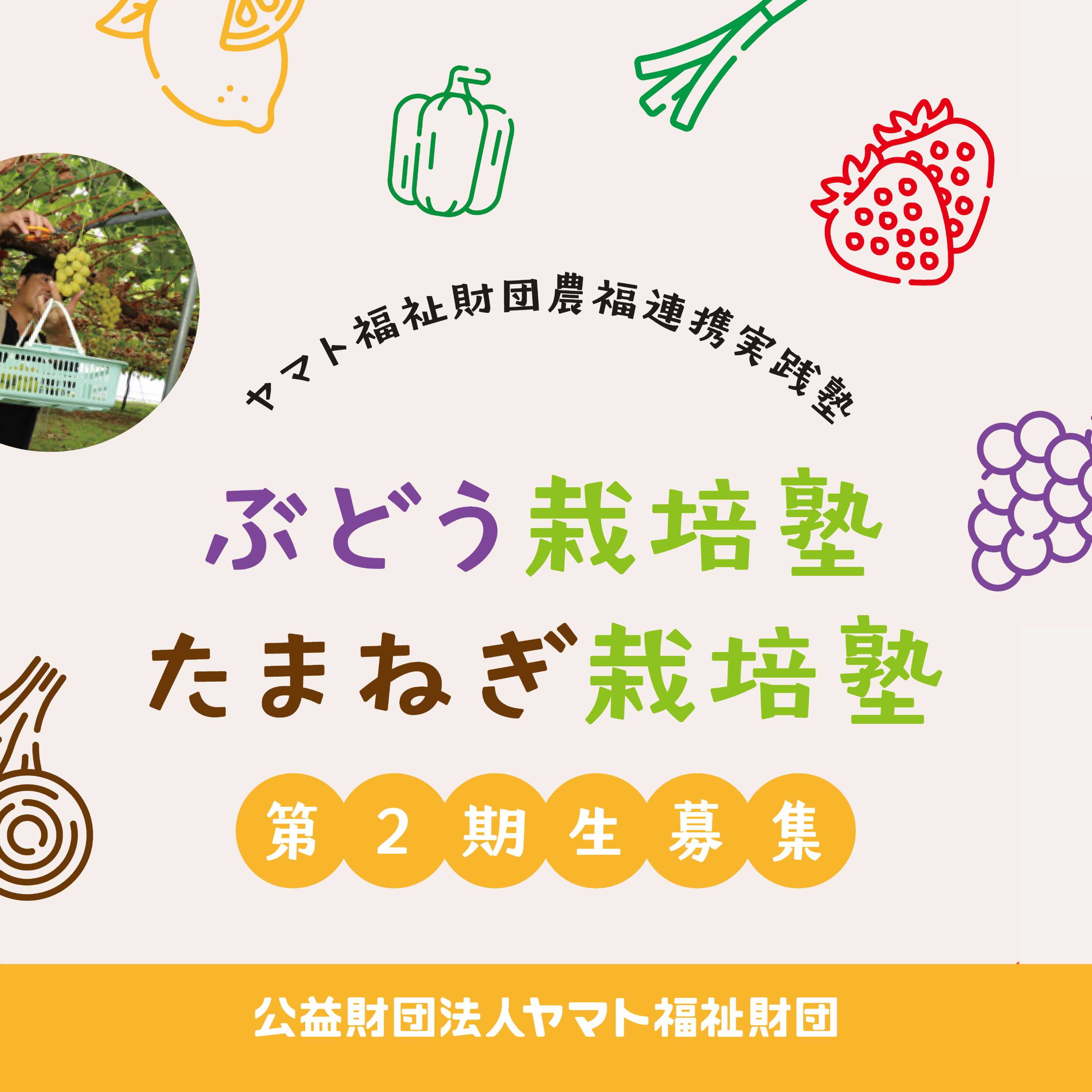 福井県あわら市のピアファームが「あわらベルジェ観光ぶどう園」開園！7月18日