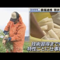 TVh北海道ニュースで道内の農福連携の現状と課題を報告！NPO法人サトニクラスなどを取材