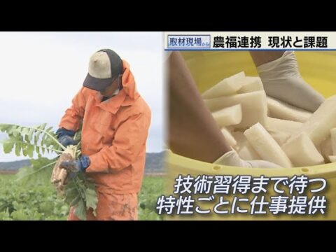 TVh北海道ニュースで道内の農福連携の現状と課題を報告！NPO法人サトニクラスなどを取材