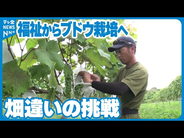 石川県羽咋市で「ITAYA Farm ワインぶどう苗木を植えよう！2025」開催！4月5日、6日