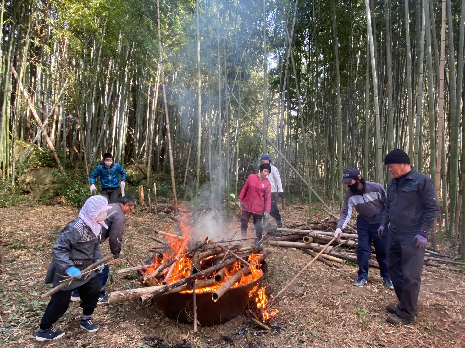 山口県山口市で放置竹林を活用したメンマづくりスタート！多様な人が