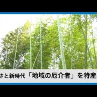 放置竹林の整備が交流のきっかけに！鹿児島県大崎町の取組（MBC南日本放送）