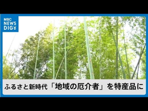 放置竹林の整備が交流のきっかけに！鹿児島県大崎町の取組（MBC南日本放送）