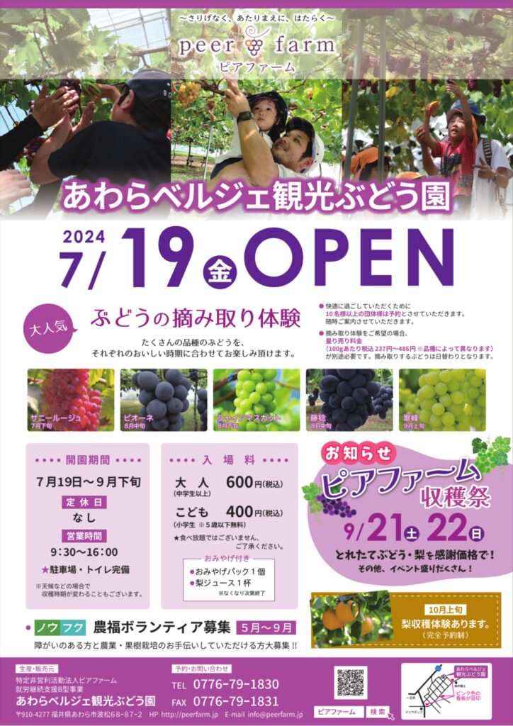 福井県あわら市のピアファームが「あわらベルジェ観光ぶどう園」開園！7月19日