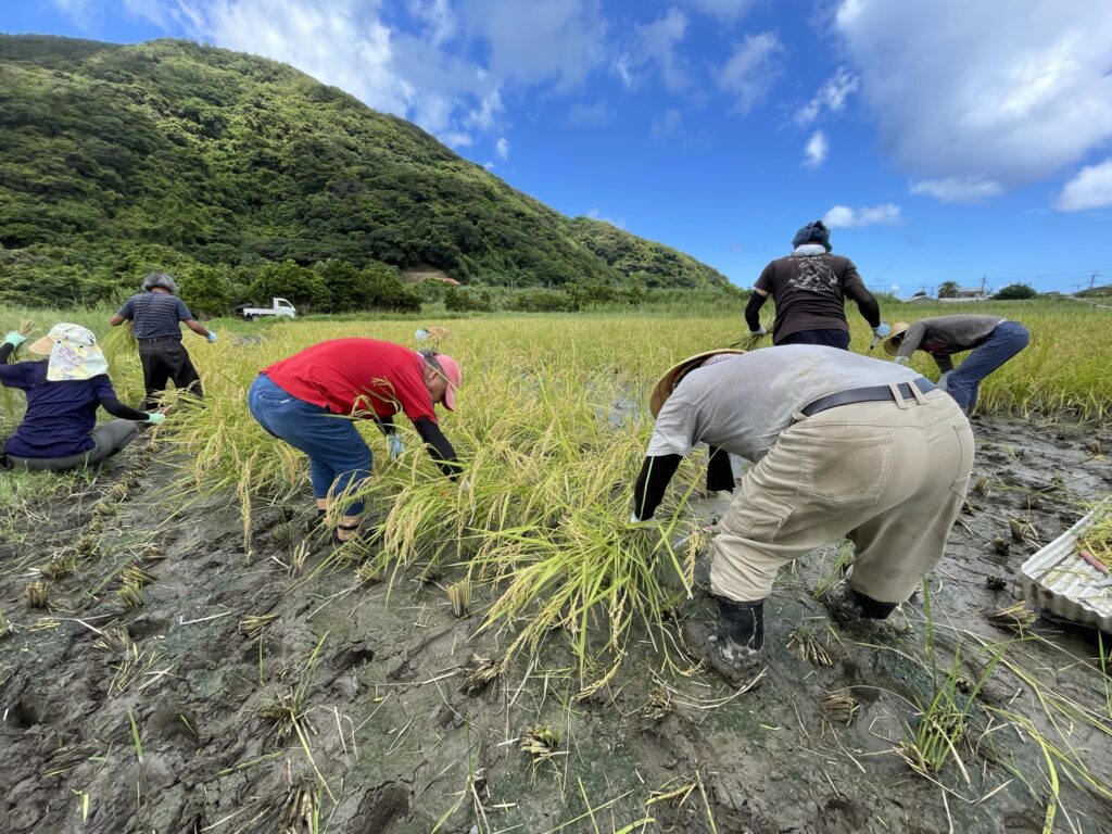 工夫次第で何でも資源に！離島のハンデを強みに換えたい。（株式会社リーフエッヂ あまみん）