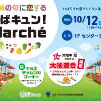 東京都江東区 ららぽーと豊洲「いばキュン！マルシェ」にエコファーム飯島が出店！10月12日、13日