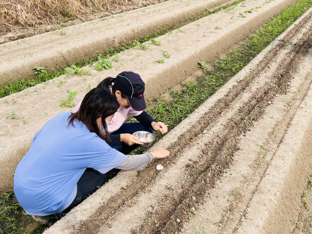 野菜づくりの出発点、播種に挑戦！カラフルにんじん編