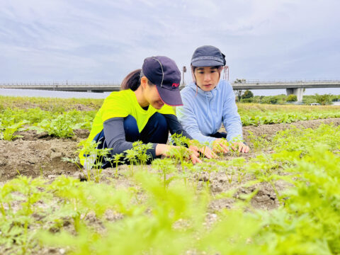 社員さんに見守られながら発芽の様子を確認する筆者（左）