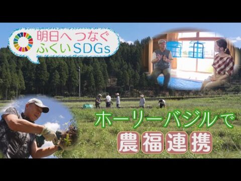 「明日へつなぐふくいSDGs」で戸川隆さんのホーリーバジル栽培の取組を紹介（FBC福井放送）