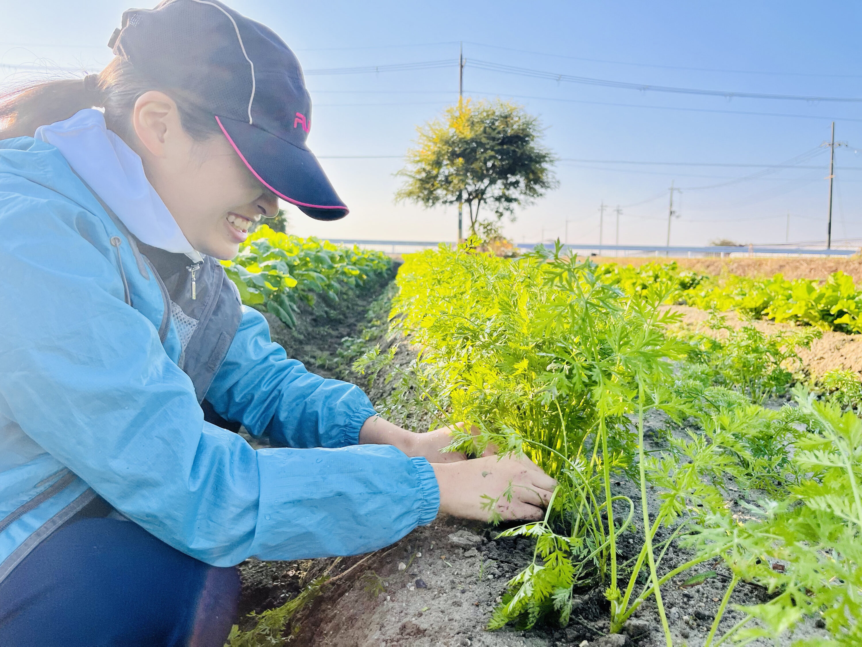 ［野菜人］ 仮面の野菜人ページ 仮面ライダーZX | 仮面ライダー図鑑 | 東映