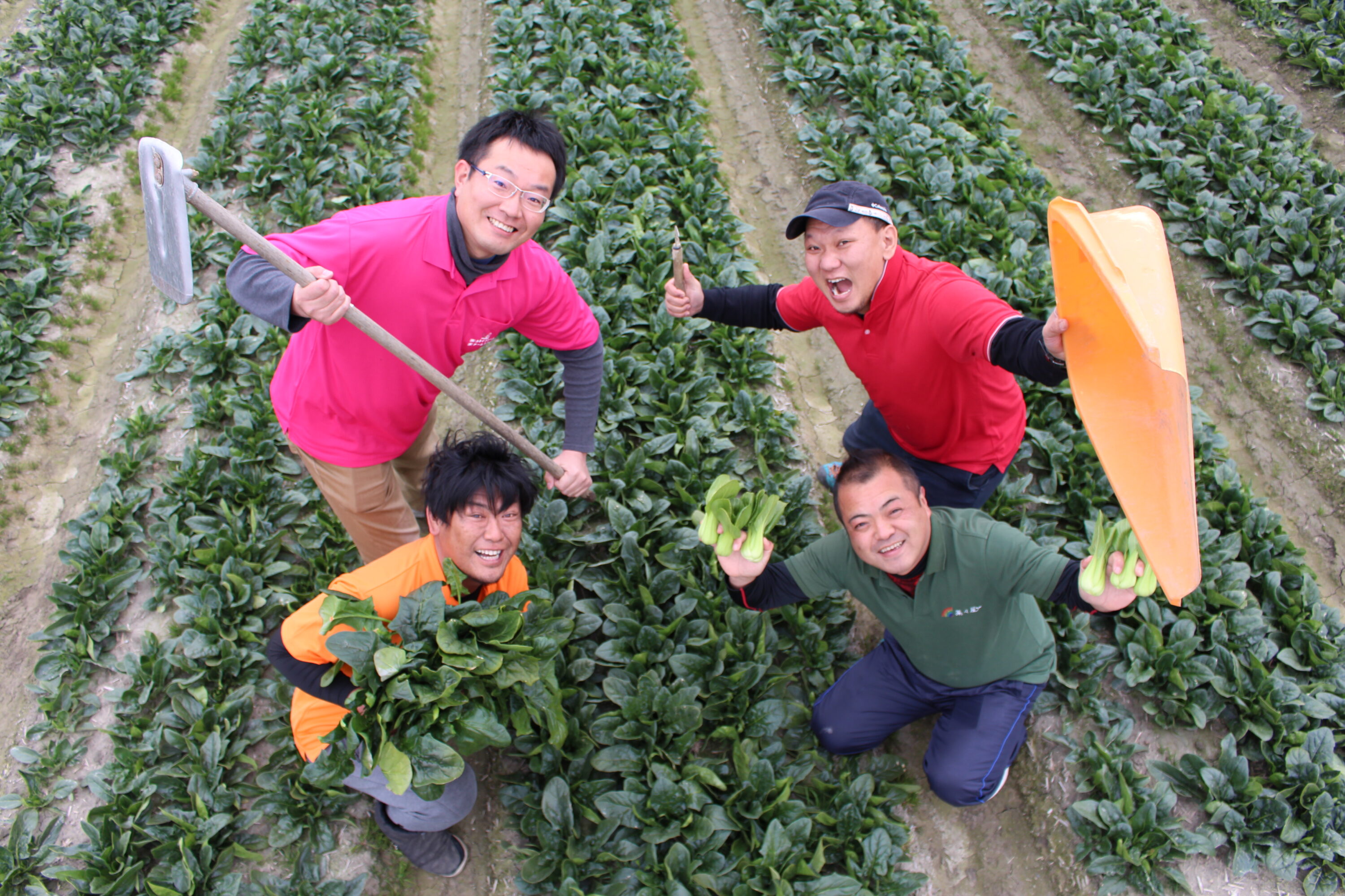 菜々屋の取締役で、カネイファーム 矢野社長へのインタビュー！農福連携が上手くいく「理想のトライアングル」とは（エガプロ）