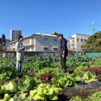 一般社団法人小金井市観光まちおこし協会 事務局 種生芽実さん（左）とシニア農園の利用者