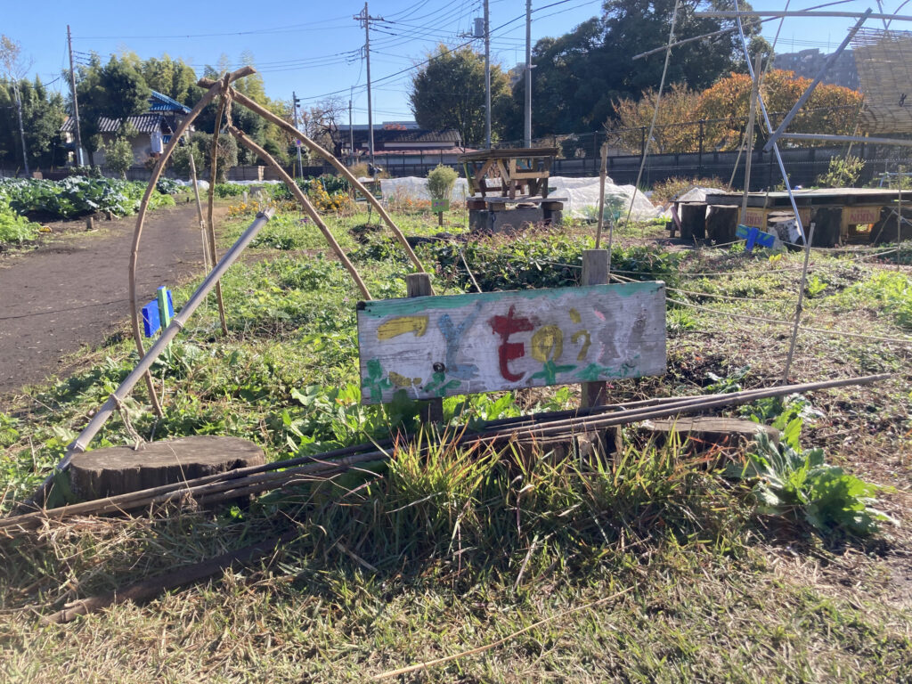 まちおこし協会が農園を運営する理由とは？「わくわく都民農園小金井」の多機能性に迫る