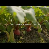 兵庫県、農福連携の拡大に向けインタビュー動画を公開！