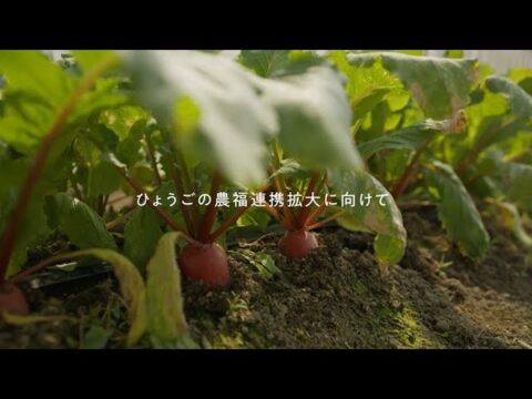 兵庫県、農福連携の拡大に向けインタビュー動画を公開！