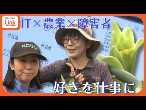 琉球放送が、ウイングアーク1stによる沖縄でのIT×農業×障がい者の取組を紹介！農業の可視化で誰もが働ける環境へ