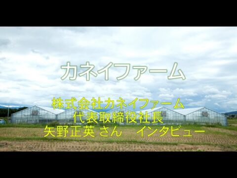 菜々屋の取締役で、カネイファーム 矢野社長へのインタビュー！農福連携が上手くいく「理想のトライアングル」とは（エガプロ）
