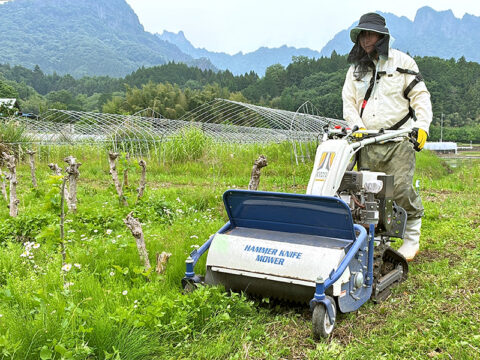 群馬県富岡市のパーソルダイバース「とみおか繭工房」今年度初の繭302キロを出荷！