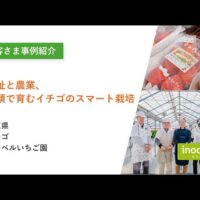 埼玉県鶴ヶ島市の「カウベルいちご園」によるスマートいちご栽培とは（inochio group）