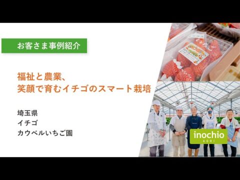 温泉熱を利用！大分県別府市の「ウェルファームMINORI」による"利用者ファースト"のミニトマト栽培とは（inochio group）