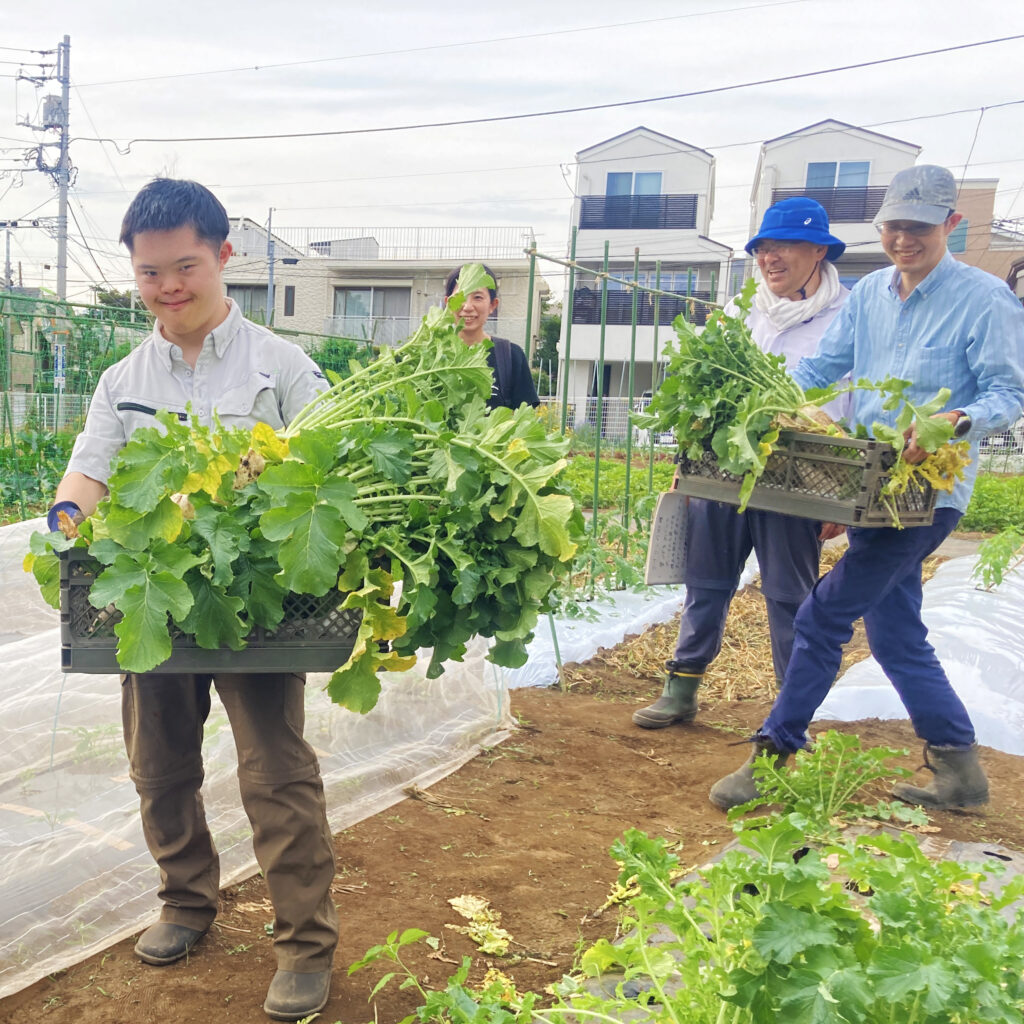 障がい者の成長を信じる「夢育てアライアンス」が全国に拡大🧲 #1 夢育て農園のいま