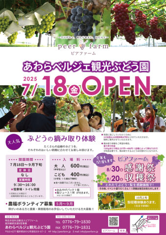 福井県あわら市のピアファームが「あわらベルジェ観光ぶどう園」開園！7月18日