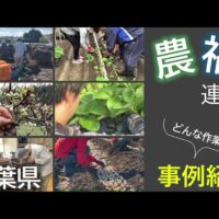 千葉県、動画「農福連携の事例紹介（令和6年度版）」を公開！
