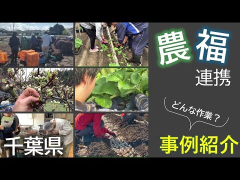 千葉県、動画「農福連携の事例紹介（令和6年度版）」を公開！