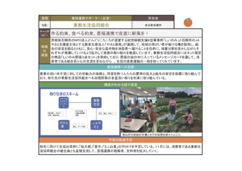 投票一覧