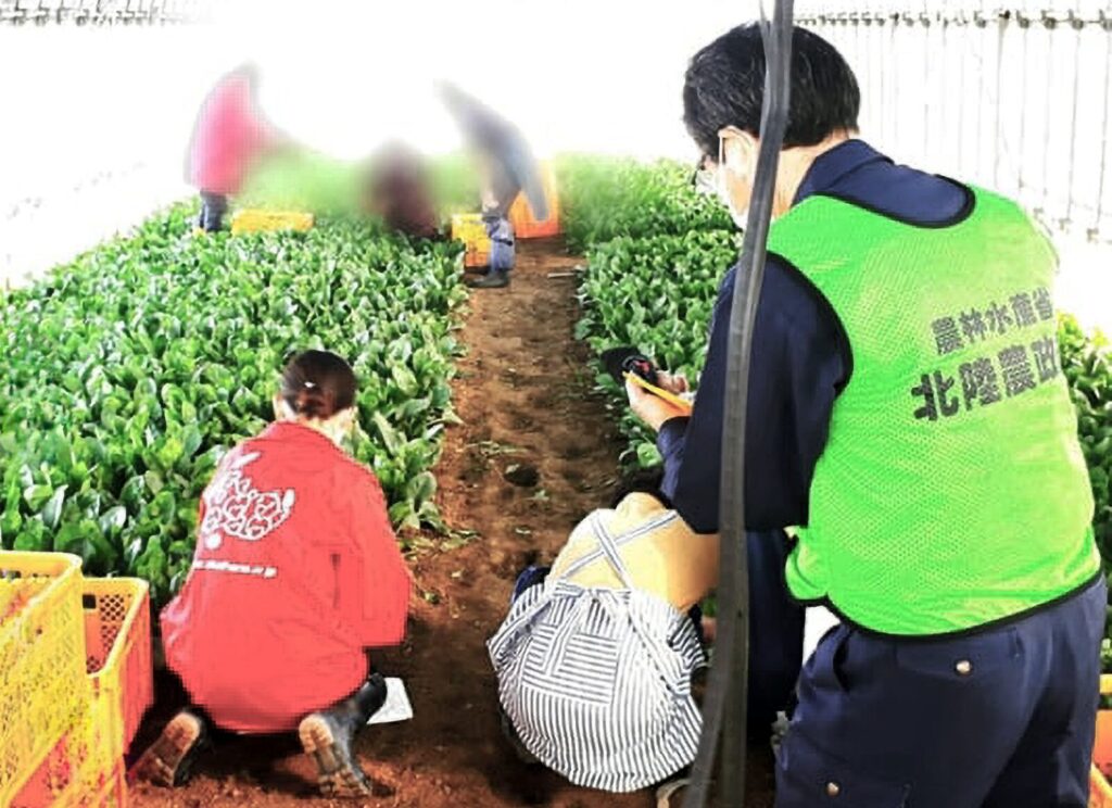 農業と障害者の睡眠の関係をまとめた論文が、国際ジャーナル「Social Sciences & Humanities Open」に掲載されました（笠間農園）