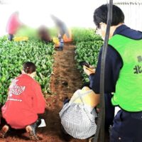 農業と障害者の睡眠の関係をまとめた論文が、国際ジャーナル「Social Sciences & Humanities Open」に掲載されました（笠間農園）