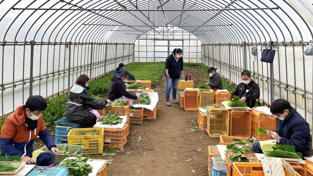 農業と障害者の睡眠の関係をまとめた論文が、国際ジャーナル「Social Sciences & Humanities Open」に掲載されました（笠間農園）