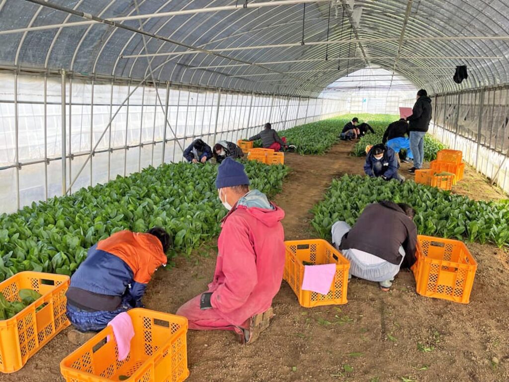 農業と障害者の睡眠の関係をまとめた論文が、国際ジャーナル「Social Sciences & Humanities Open」に掲載されました（笠間農園）