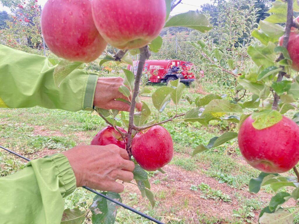 別れ際、涙する人も！OSDよりそいネットワーク主催の長野県松川町での森林セラピーと農業体験イベントをレポート