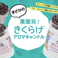 神奈川県横浜市の永島農園×Wahaha×ワンヘルスラボで「きくらげアロマキャンドル」発売！1月10日