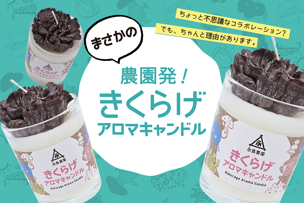 神奈川県横浜市の永島農園×Wahaha×ワンヘルスラボで「きくらげアロマ