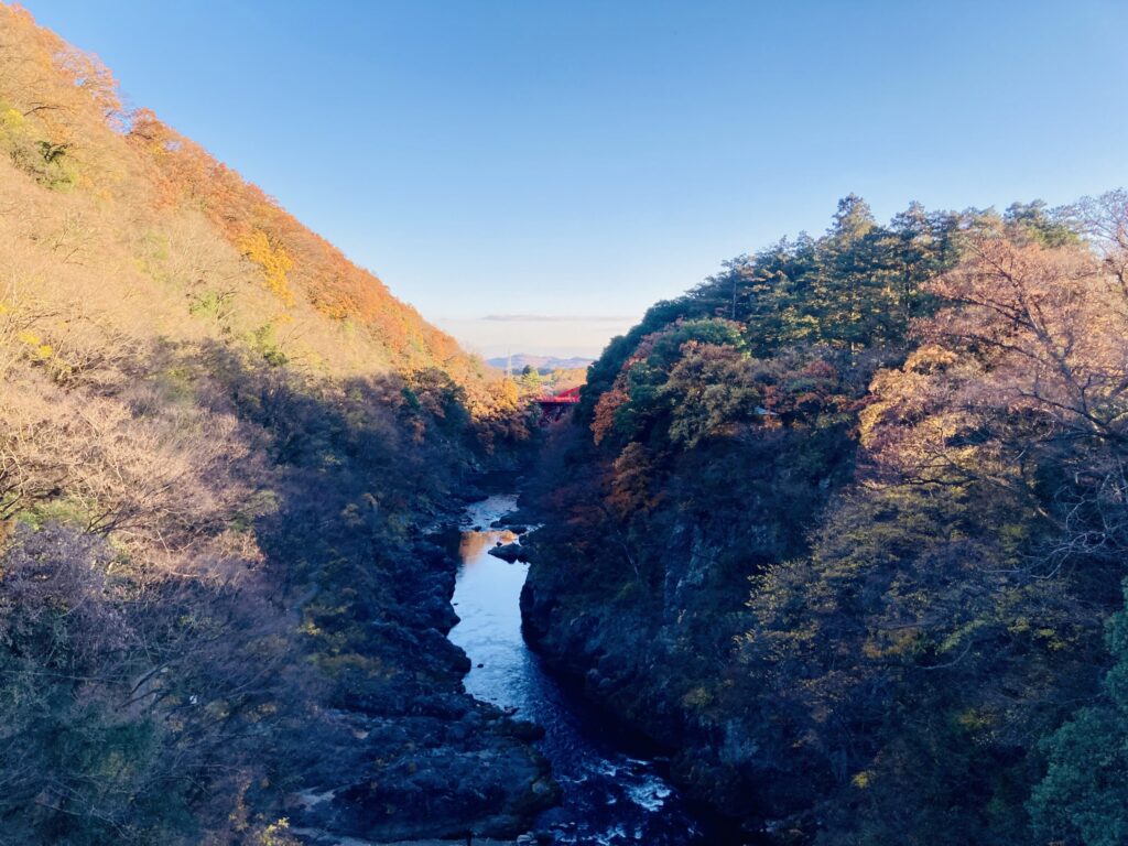 高校生と地域住民が
