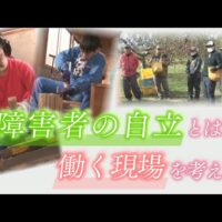 ウィズファームが、長野朝日放送の番組「abnステーション」に登場！障害者週間の特集で