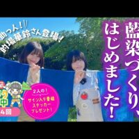 「藍染てぬぐいをつくろう！」埼玉福興を舞台にしたYouTube番組「根本凪 ノウフク連携中」第4回が公開中！