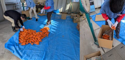 神奈川県海老名市で小学生が開発した「小さい子供でも食べられる甘口いちごカレー」販売会！2月11日〜15日