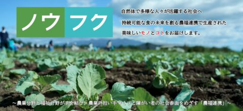 【㊗️開店】ECモール「よろずを継ぐもの」に「ノウフク・マーケット」出店！1月21日〜（株式会社マイエンジン）