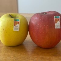 ウィズファームのノウフクりんご