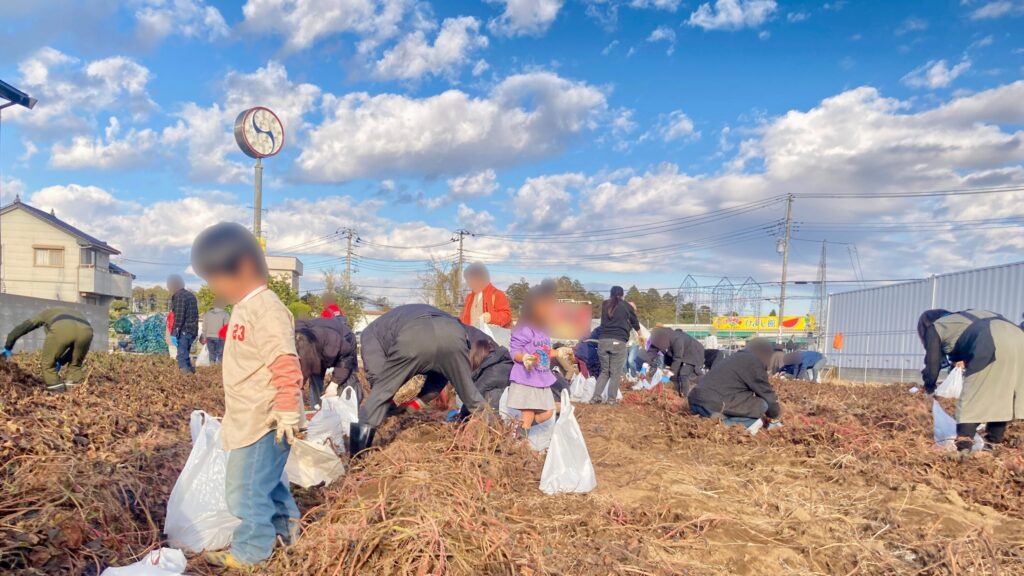 千葉県富里市に"なないろ"のユニバーサル農園オープン！スカイアースファームの「さつまいも収穫祭」レポート