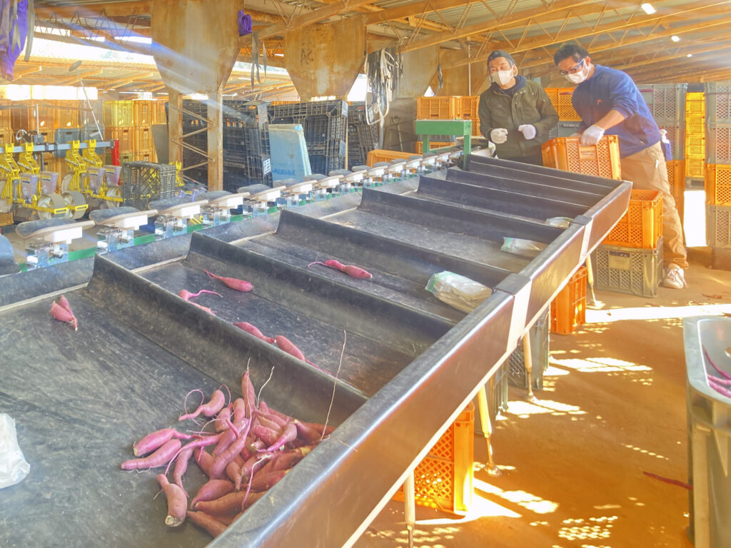 千葉県富里市に