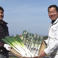 11月23日は「栗原揚げの日」に！ 株式会社栗原ねぎ 栗原光博さんへのインタビュー【後編】