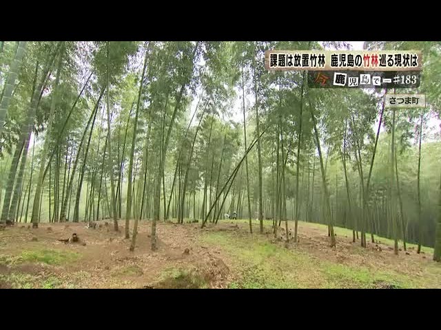 鹿児島県大崎町「竹の資源化モデル」が『特用林産』No.18（発行：日本特用林産振興会）で紹介！