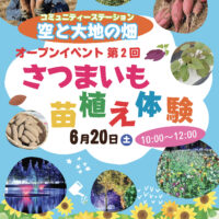 千葉県成田市のスカイアースファーム株式会社が「さつまいもの苗植え体験」開催！6月20日